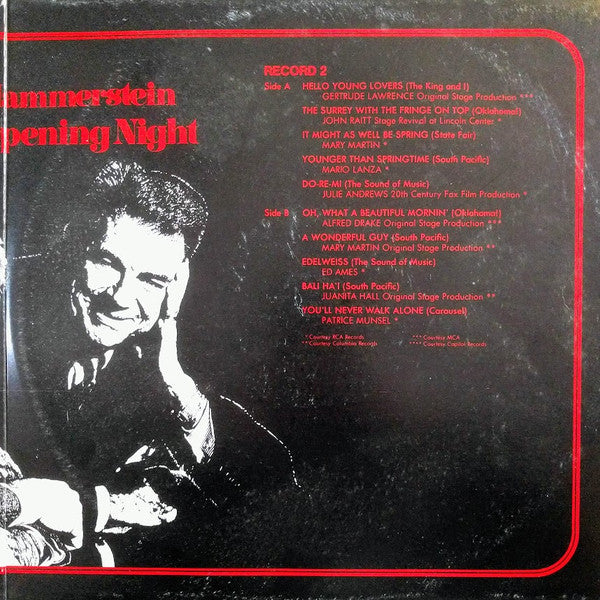 Rodgers & Hammerstein : Rogers And Hammerstein: Remember Opening Night (2x12", Gat)