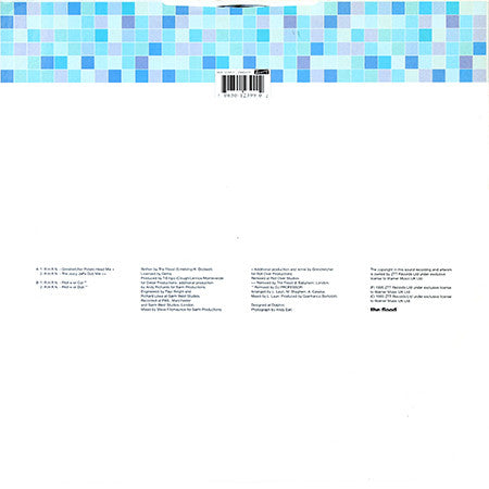 The Flood : Right Here, Right Now (12")