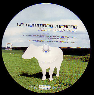Le Hammond Inferno : Move Your MP3 (12", Single)
