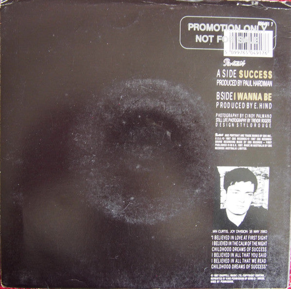 Picnic At The Whitehouse : Success (7", Promo)