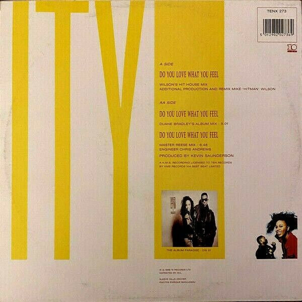 Inner City : Do You Love What You Feel (12")