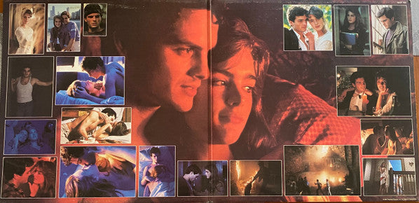 Various : Endless Love (LP, Comp, Gat)