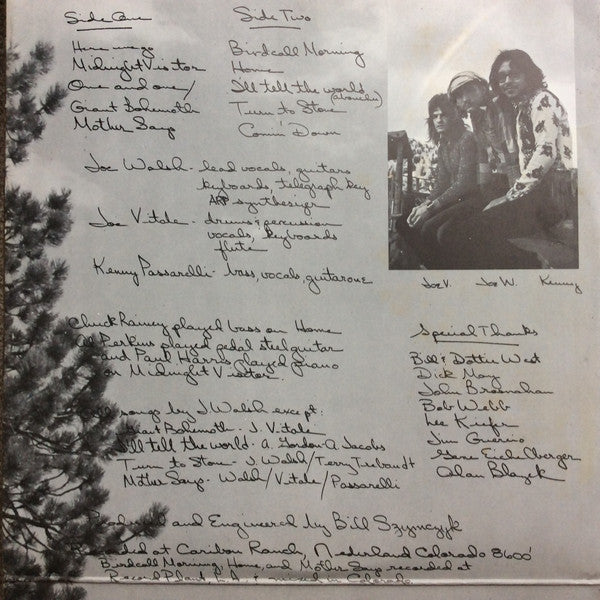 Joe Walsh : Barnstorm (LP, Album, Gat)