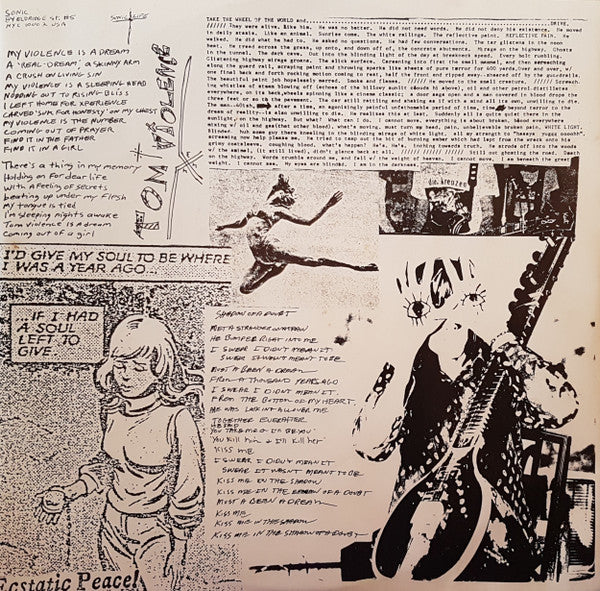 Sonic Youth : EVOL (LP, Album, RE)