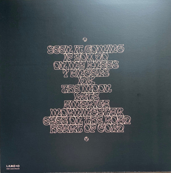 Trace Mountains : House of Confusion (LP, Album, Pea)