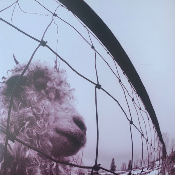 Pearl Jam : Vs. (2x12", Album, RE, RM, 30t)