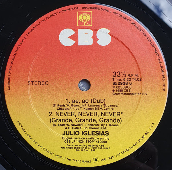 Julio Iglesias : Ae, Ao (12", Single, Promo)