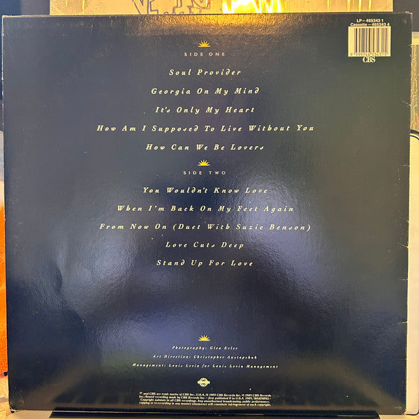 Michael Bolton : Soul Provider (LP)