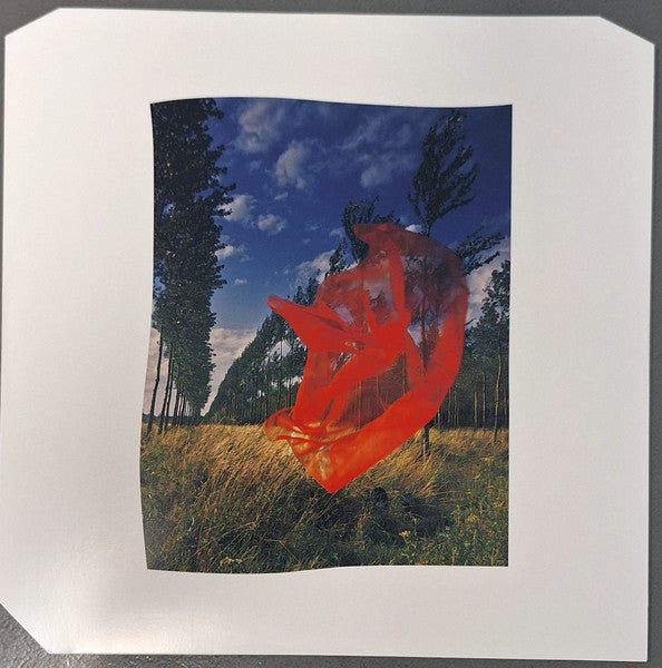 Pink Floyd : Wish You Were Here (LP, Album, Ltd, RE, RM, Yel)