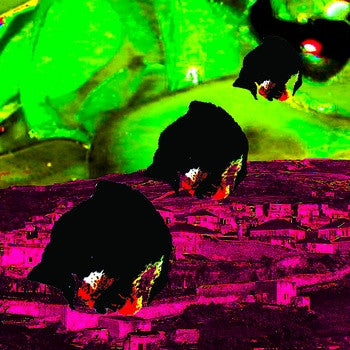 Pets With Pets : We Only Found This Place (7", Ltd, Cle)