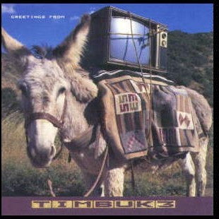 Timbuk 3 : Greetings From Timbuk 3 (LP, Album)