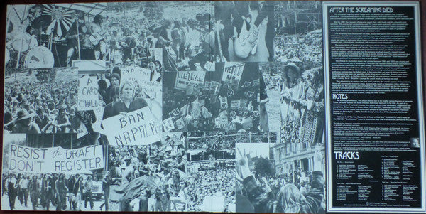 Various : So You Wanna Be A Rock 'N' Roll Star Volume 2 (The Psychedelic Years Of Australian Rock 1967-70) (2xLP, Comp)