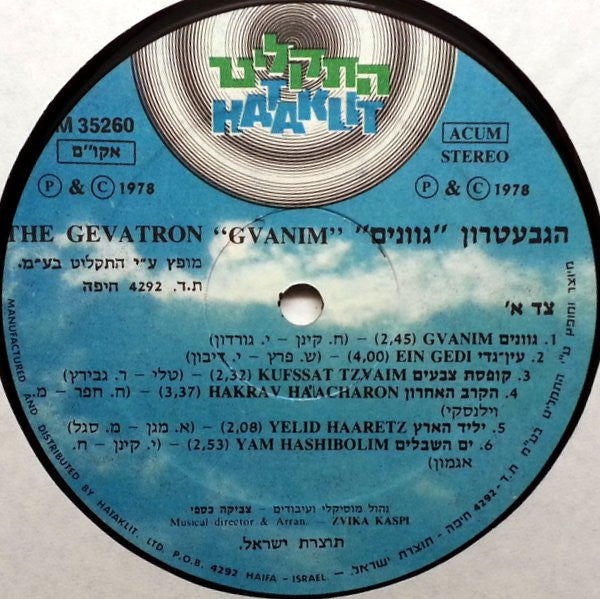 The Gevatron* : Gvanim (LP, Album)
