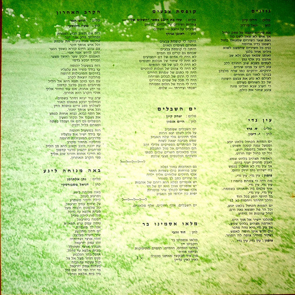 The Gevatron* : Gvanim (LP, Album)