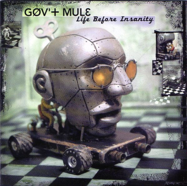 Gov't Mule : Life Before Insanity (CD, Album)