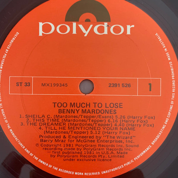 Benny Mardones : Too Much To Lose (LP, Album)