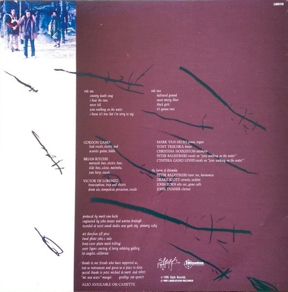 Violent Femmes : Hallowed Ground (LP, Album, RE)