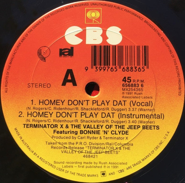 Terminator X : Homey Don't Play Dat (12", Single)