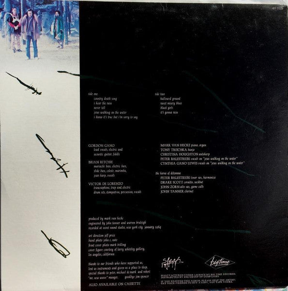 Violent Femmes : Hallowed Ground (LP, Album, Fir)
