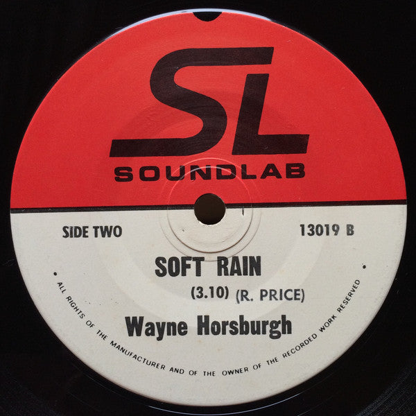 Wayne Horsburgh : A Little Bit Of Lovin' (7", Single)
