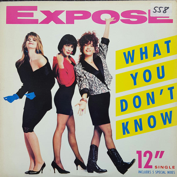 Exposé : What You Don´t Know (12&quot;, Maxi)