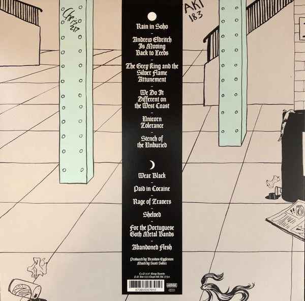 The Mountain Goats : Goths (2x12", Album)