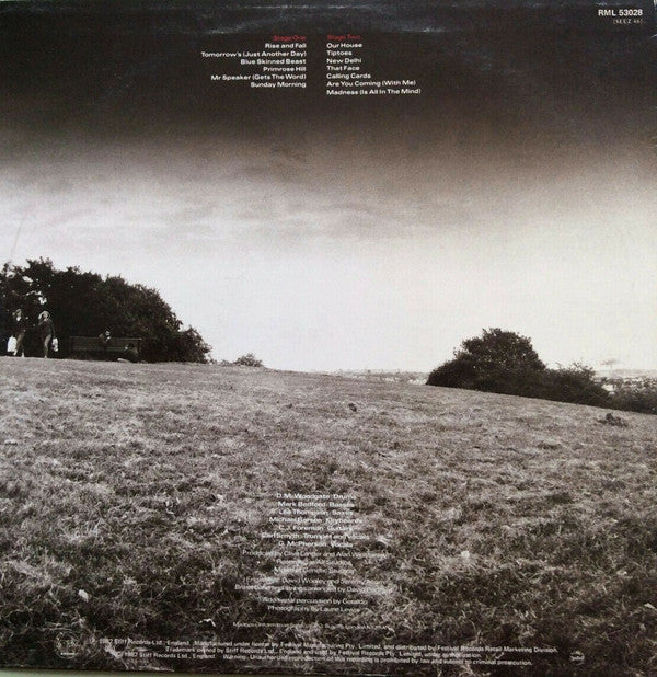 Madness : The Rise & Fall (LP, Album)