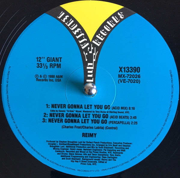 Reimy : Never Gonna Let You Go (12")