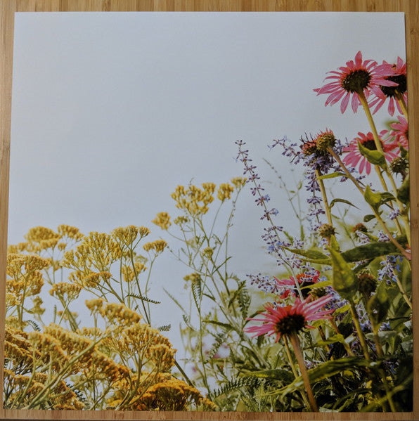 Loose Tooth (2) : Keep Up (LP, Album, Yel)