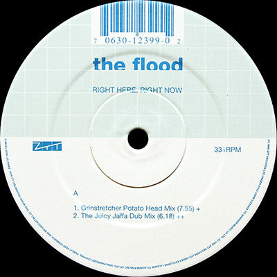 The Flood : Right Here, Right Now (12")