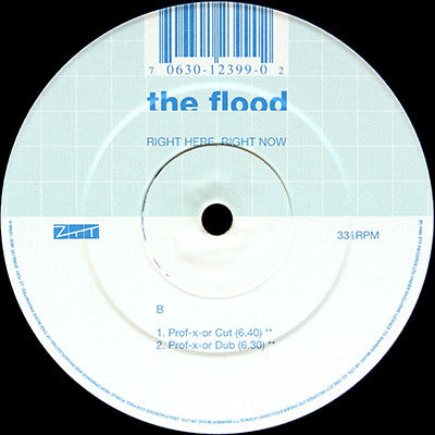 The Flood : Right Here, Right Now (12")