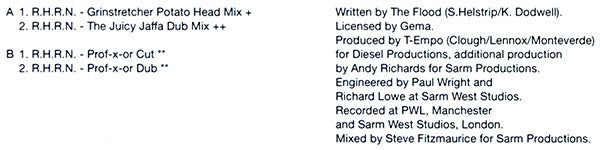 The Flood : Right Here, Right Now (12")