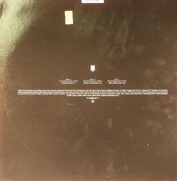 MJ Cole : Wondering Why (12", Single)
