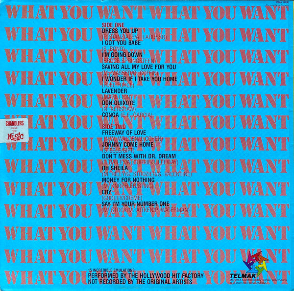 The Hollywood Hit Factory : What You Want (LP, Album)