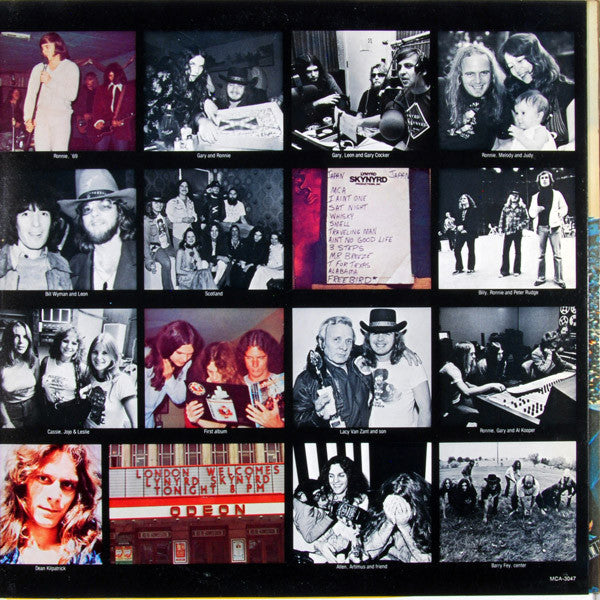 Lynyrd Skynyrd : Skynyrd's First And... Last (LP, Album, Pin)