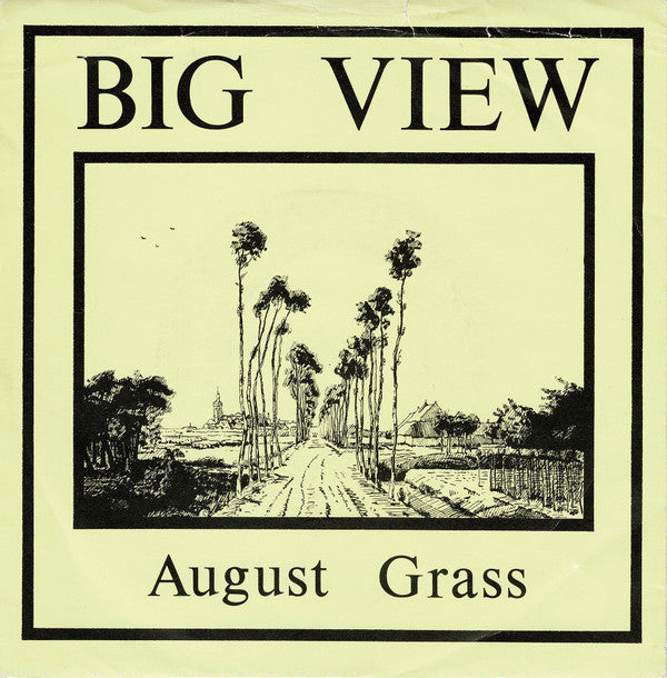 Big View : August Grass (7&quot;)