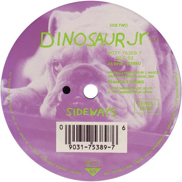 Dinosaur Jr. : Whatever's Cool With Me (7", Single)