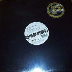 Badd Boys Of The Industry : One Night Of Freedom (12&quot;)