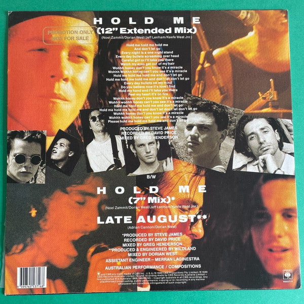 Wildland : Hold Me (12", Maxi, Promo)