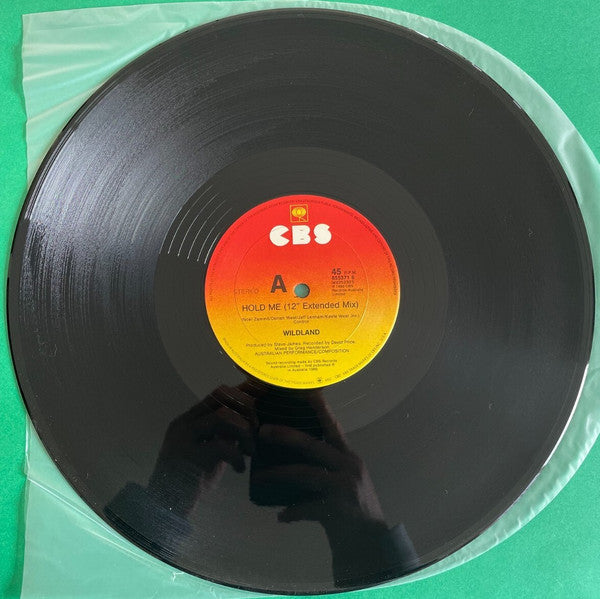 Wildland : Hold Me (12", Maxi, Promo)