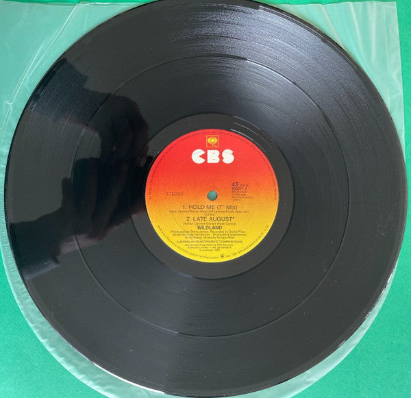 Wildland : Hold Me (12", Maxi, Promo)