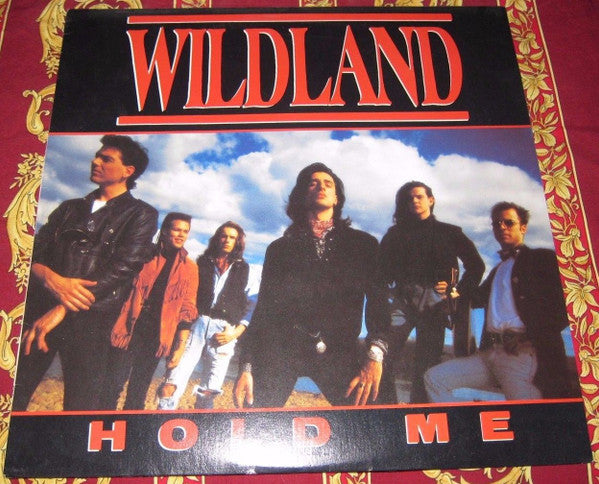 Wildland : Hold Me (12", Maxi, Promo)