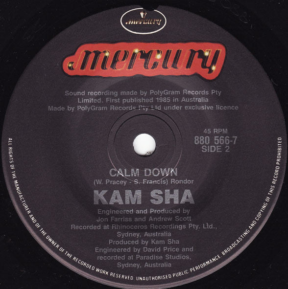 Kam Sha : Work Until You Drop! (7")