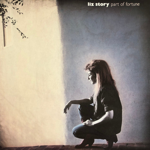 Liz Story : Part Of Fortune (LP, Album, Dig)