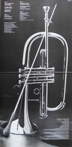 Chuck Mangione : The Best Of Chuck Mangione (2xLP, Comp)