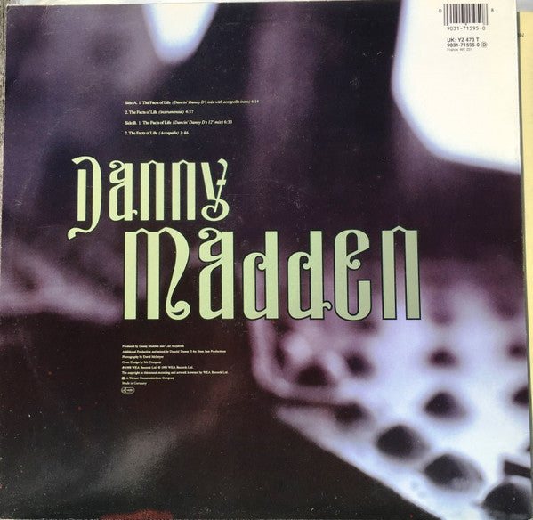 Danny Madden : The Facts Of Life (12", Single)