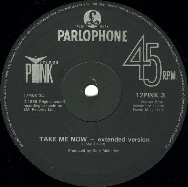 Vicious Pink : Take Me Now (Extended Version) (12", Single)