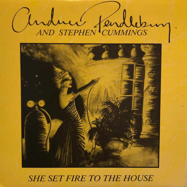 Andrew Pendlebury, Stephen Cummings : She Set Fire To The House (7&quot;, Single)