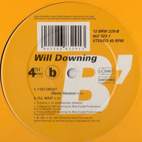 Will Downing : I Go Crazy (12", Single, Com)