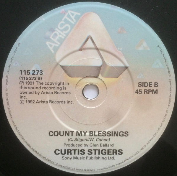 Curtis Stigers : You're All That Matters To Me (7", Single)